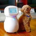 会話ロボット「シナモン」に高齢者向け「ChatGPT」を搭載　見守りロボットはどう変わる?　ドーナツロボティクスとメタリアル