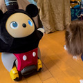 ミッキーマウス仕様「LOVOT」の魅力と癒し効果とは? 愛される家族型ロボットとの生活 リアル体験レビュー&実感レポート
