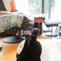 ミッキーマウス仕様「LOVOT」の魅力と癒し効果とは? 愛される家族型ロボットとの生活 リアル体験レビュー&実感レポート