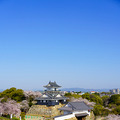 『どうする家康』大河ドラマ館やゆかりの地、XRで戦国時代をリアル体感など、浜松市が見どころを発表