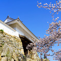 『どうする家康』大河ドラマ館やゆかりの地、XRで戦国時代をリアル体感など、浜松市が見どころを発表
