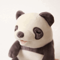 やみつき体感ロボット「甘噛みハムハム」にパンダとカワウソが新登場!ミケネコ、シバイヌに続く第二弾!5月16日予約受付開始