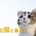 トレンドマスターの猫型ロボット10周年記念「なでなでねこちゃんEXシリーズ」発売 静電センサー搭載、撫でると鳴き声で反応