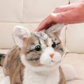 トレンドマスターの猫型ロボット10周年記念「なでなでねこちゃんEXシリーズ」発売 静電センサー搭載、撫でると鳴き声で反応