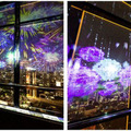 デジタル花火アート続々開催　東京タワー「日本の風景×夜景」、マクセル アクアパーク品川「花火アクアリウム」のマッピングショー　ネイキッド演出