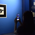 リニューアル工事中のブルーシートの中がスマホをかざすと覗けちゃうよ！グレートバリアリーフをAR技術でチラ見　海遊館