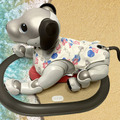 aibo「チャージステーション」を涼しげなビーチ柄デザインに！ロボユニからデコカバー発売へ