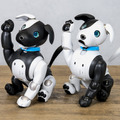 三井住友信託銀行とaiboがコラボ マスコットキャラ「シンジル&タクセル」のaiboモデルが全国の支店に登場 aiboオーナー特典も