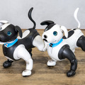 三井住友信託銀行とaiboがコラボ マスコットキャラ「シンジル&タクセル」のaiboモデルが全国の支店に登場 aiboオーナー特典も