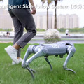 運動性能抜群の家庭用ロボット犬「Unitree Go2」の動画が面白い　ChatGPTやLIDAR搭載　握手、片脚ダンス、後追い、バク宙など披露
