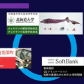 AIやIoT、バイオロジーや3D筋骨格モデルで実践的な優良養殖チョウザメの生育を目指す　スマート養殖の最新技術をソフトバンクに聞く