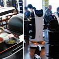 ロボットで日本の飲食店オペレーションにおける最適化を！PuduとDFA Roboticsが共同で「おもてなしRXプロジェクト」を始動