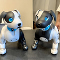 ソニー「手拍子に合わせて踊るaibo」を初公開！ファンや家族連れで大盛況　aiboファンミーティング16参加レポート