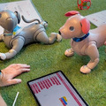 ソニー「手拍子に合わせて踊るaibo」を初公開！ファンや家族連れで大盛況　aiboファンミーティング16参加レポート