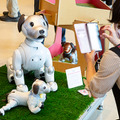 ソニー「手拍子に合わせて踊るaibo」を初公開！ファンや家族連れで大盛況　aiboファンミーティング16参加レポート