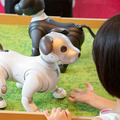 ソニー「手拍子に合わせて踊るaibo」を初公開！ファンや家族連れで大盛況　aiboファンミーティング16参加レポート