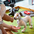 ソニー「手拍子に合わせて踊るaibo」を初公開！ファンや家族連れで大盛況　aiboファンミーティング16参加レポート
