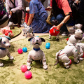 ソニー「手拍子に合わせて踊るaibo」を初公開！ファンや家族連れで大盛況　aiboファンミーティング16参加レポート