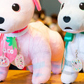ソニー「手拍子に合わせて踊るaibo」を初公開！ファンや家族連れで大盛況　aiboファンミーティング16参加レポート