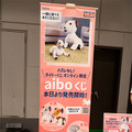 ソニー「手拍子に合わせて踊るaibo」を初公開！ファンや家族連れで大盛況　aiboファンミーティング16参加レポート
