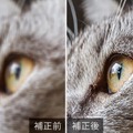 サイバーリンク、写真編集ソフト「PhotoDirector 2024」のサブスク版に生成AI機能を搭載　文字からAIが画像を生成