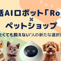 <p>シェア 0 ツイート 0 はてブ 0</p>