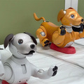 「THE★ROBOTS」ロボットダンスショー公開(ちょもろー)　aiboメンバー全色カラー勢揃い、Romiはどうやって踊るの?