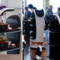 ネコ型配膳ロボット「BellaBot」グッズが登場　缶バッジ、アクリルキーホルダー、ステッカーなど　あみあみ