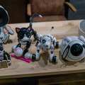 「ロボットパイオニアフォーラム008」参加レポート（後編）　 #robopf