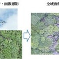 京大発スタートアップ、NTT東や所沢市とドローン撮影画像×AI解析で「ナラ枯れ」発見の実証実験　枯死樹木の放置を抑止