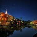 新宿御苑とネイキッドが再びコラボ！紅葉ライトアップイベント『NAKED紅葉の新宿御苑2023』開催決定　11月22日～12月3日