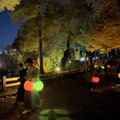 新宿御苑の紅葉イルミネーション「NAKED紅葉の新宿御苑2023」見どころ体験レポート【オススメ】五感で感じる壮大で煌びやかな日本の秋