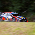 WRC「ラリージャパン2023」は53万人超を動員 豊田や岡崎に多くの観客が集う「ところでフォーラムエイトってなんの会社?」