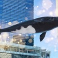 品川にクジラやイルカが！「品川イルミネーション2023 with XR City」開催　品川港南エリアをXRで活性化