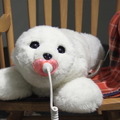 <p>シェア 0 ツイート 0 はてブ 0</p>