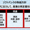 ソフトバンク、魚の鮮度やうまみをセンサーやAIで測定する手法確立へ　品質規格標準化のコンソーシアムを水産業社らと設立する理由と意義