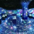 雪や氷、オーロラ映像とイルカなど生きものたちの共演！「NAKED SNOW AQUARIUM」開催、冬景色が広がる幻想的な海の世界へ