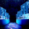 雪や氷、オーロラ映像とイルカなど生きものたちの共演！「NAKED SNOW AQUARIUM」開催、冬景色が広がる幻想的な海の世界へ