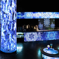 雪や氷、オーロラ映像とイルカなど生きものたちの共演！「NAKED SNOW AQUARIUM」開催、冬景色が広がる幻想的な海の世界へ