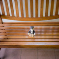 robohon06