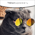 ChatGPTの画像認識機能で動物の気持ちがわかるスマホアプリ「ペットの気持ちAI」をリリース　周りにいるたいていの生き物に対応