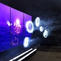 【物理現象☓デジタル技術】体験型NFTアート「太陽の通り道 ― 霧のNFTがたどる永遠」日本科学未来館にて国内初展示 1月24日より