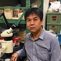サンシャイン水族館が水中ドローンの深海調査で新属・新種のエビを発見「トリノアシヤドリエビ」として公表