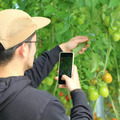 NTTアグリ 施設園芸向け生産・労務管理サービス「Digital Farmer」を提供開始 デジタルデータ活用で安定した農業経営をサポート