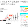 NTTがICTで陸上養殖　世界初「クエタマ」「タマカイ」の養殖に成功、成長速度は約3倍「水産業夢未来プロジェクト」成果を公表