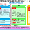NTTがICTで陸上養殖　世界初「クエタマ」「タマカイ」の養殖に成功、成長速度は約3倍「水産業夢未来プロジェクト」成果を公表