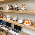 「ココロを動かす表現」としてのロボティクス ユカイ工学+武蔵野美大「Creative Robotics展」