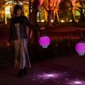 『NAKED桜まつり 2024 世界遺産・二条城』の「プレミアムお花見エリア」演出詳細を発表　豪華絢爛プロジェクションマッピング