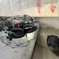 能登半島地震復興に向けて「球体ドローン」による橋梁点検を輪島市内で実施　点検員の安全確保と橋梁の危険性を迅速点検　ブルーイノベーション