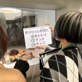 「病室からつながる水族館」四国水族館と香川大学、入院中の子どもたちが遠隔ロボットで水族館をオンライン見学